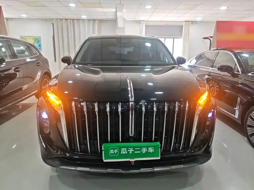 Hongqi Hongqi HS7 PHEV — миниатюра 3