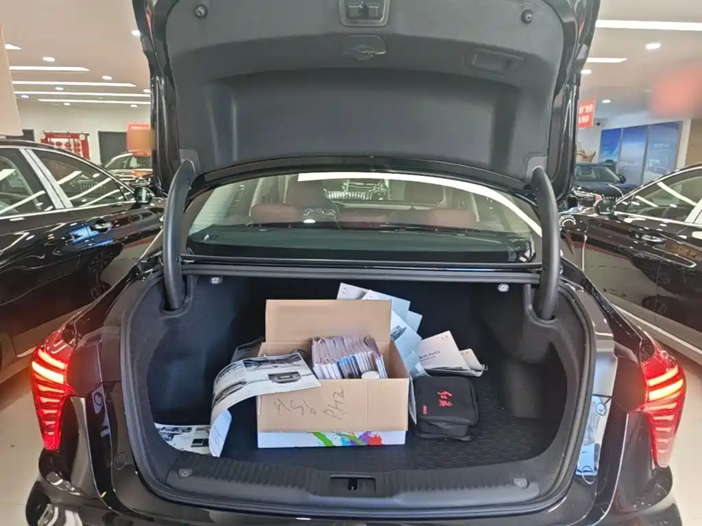 Hongqi Hongqi H5 PHEV — миниатюра 19