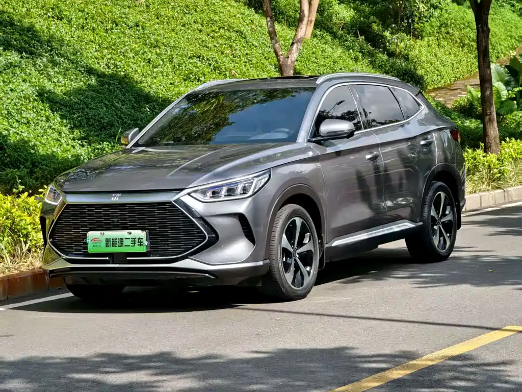 BYD SONGJIANG NEW ENERGY