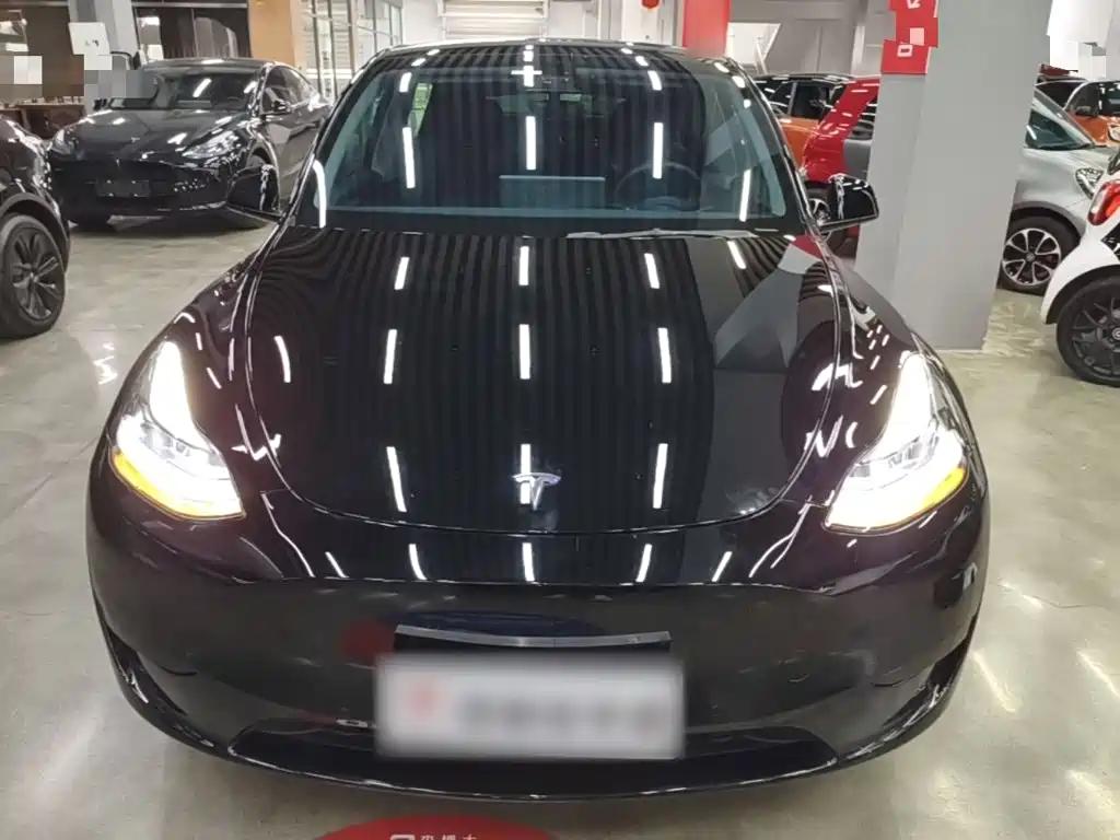 Tesla Model Y — миниатюра 3