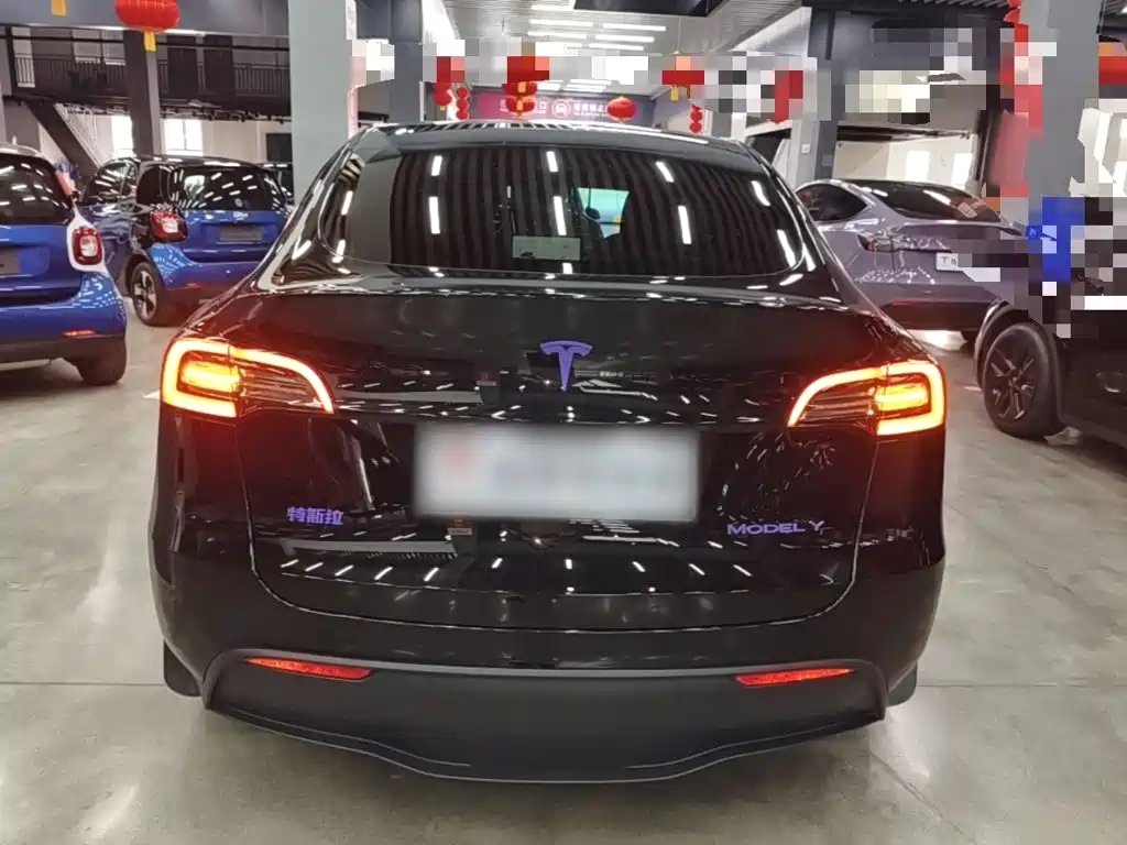 Tesla Model Y — миниатюра 6