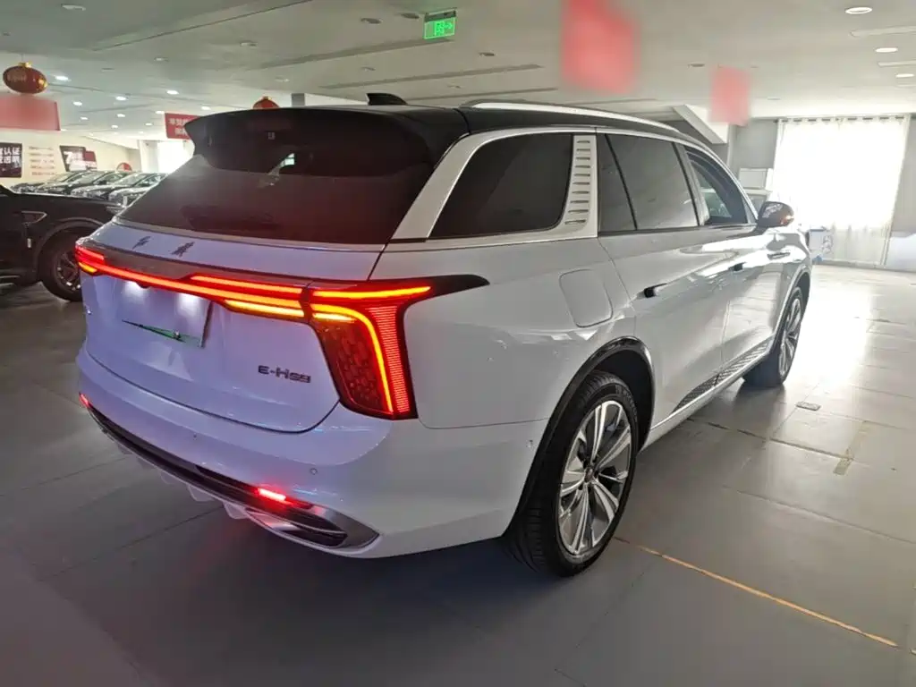 Hongqi Hongqi E-HS9 — миниатюра 7