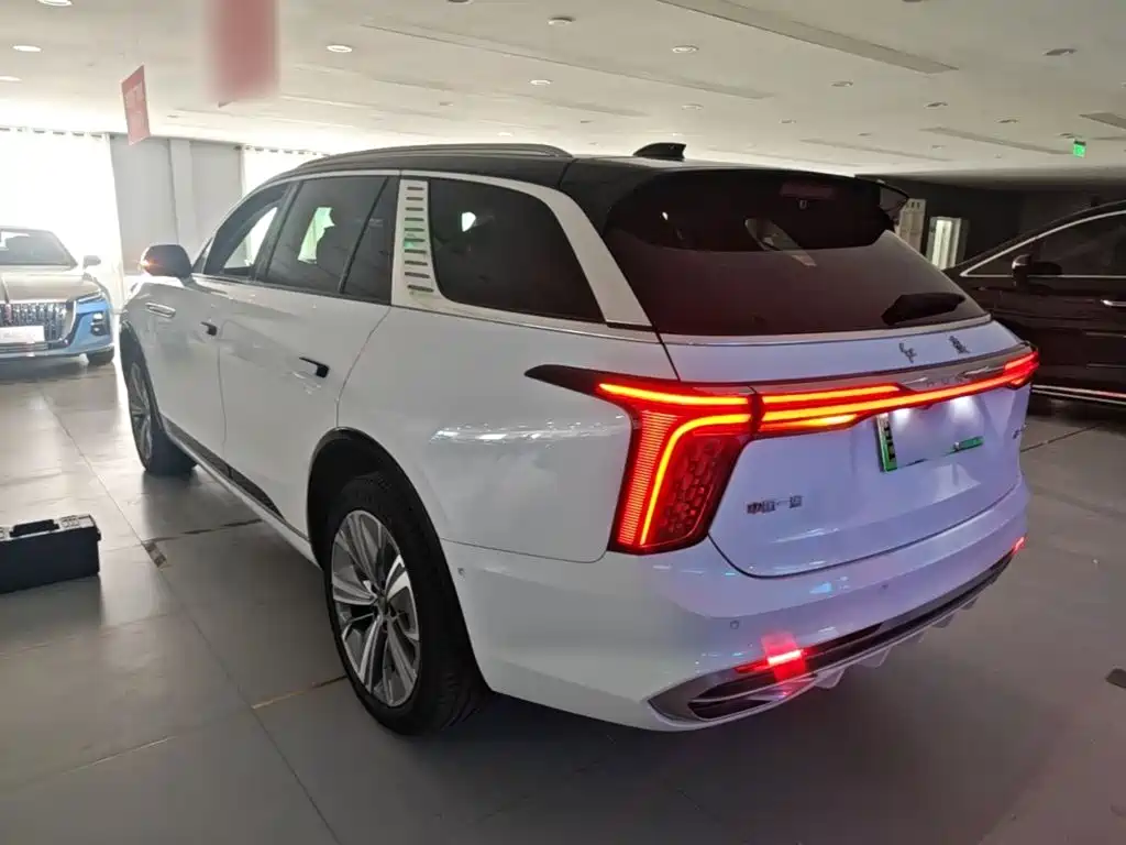 Hongqi Hongqi E-HS9 — миниатюра 5