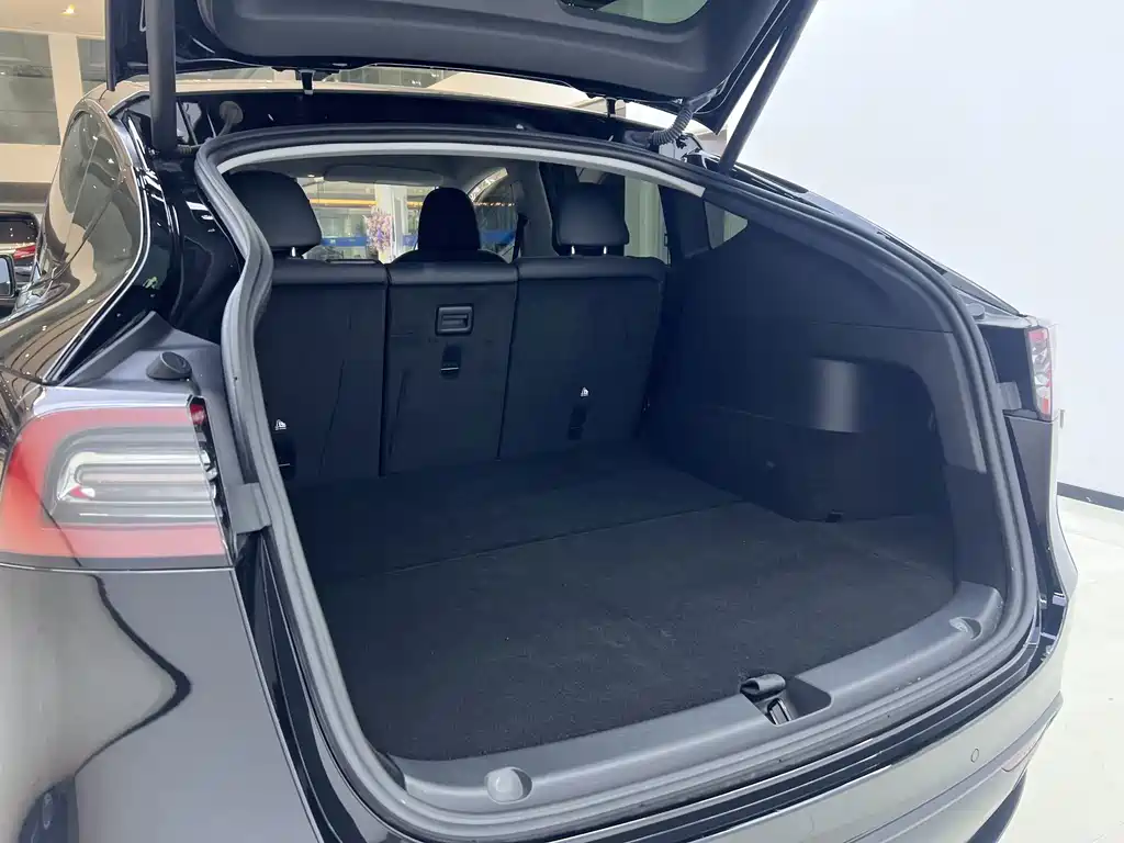 Tesla Model Y — миниатюра 18