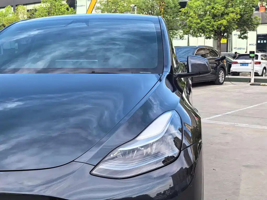 Tesla Model Y — миниатюра 5