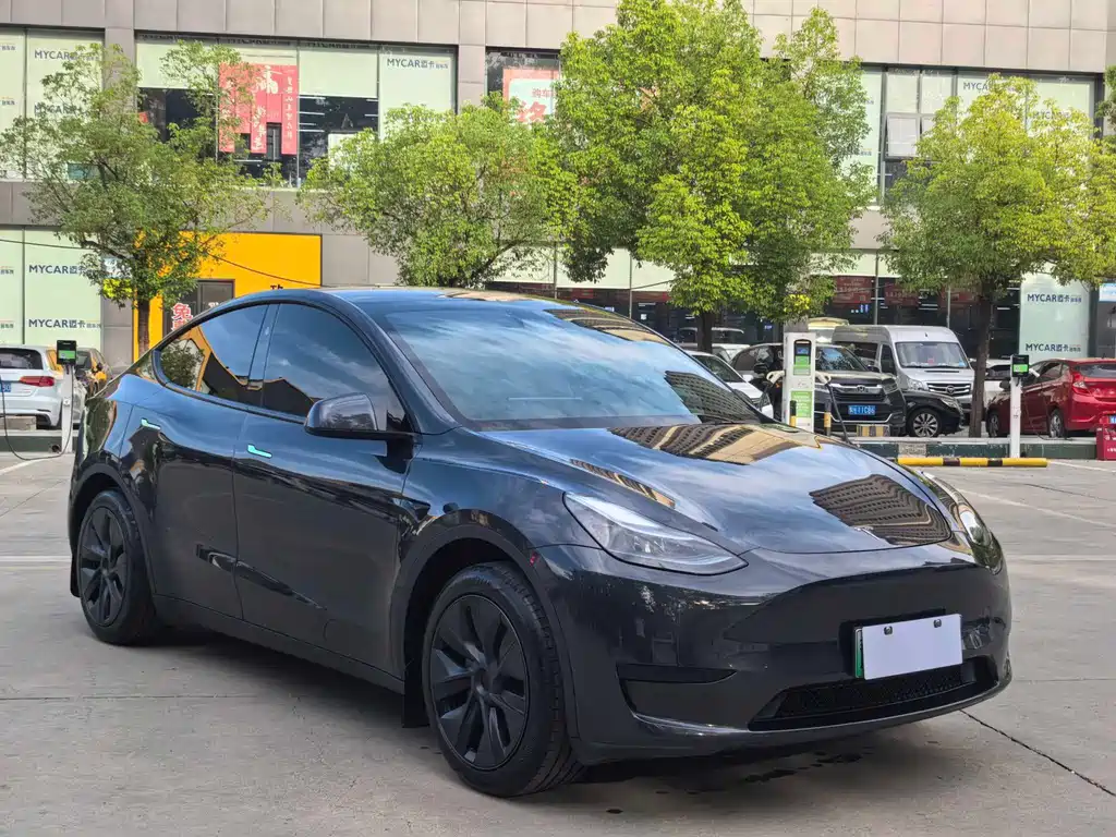 Tesla Model Y — миниатюра 3