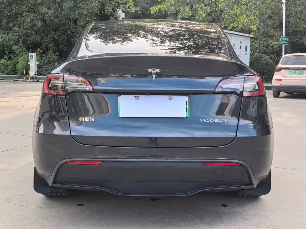 Tesla Model Y — миниатюра 14