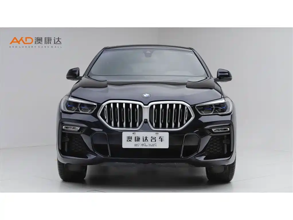 BMW X6 — миниатюра 2