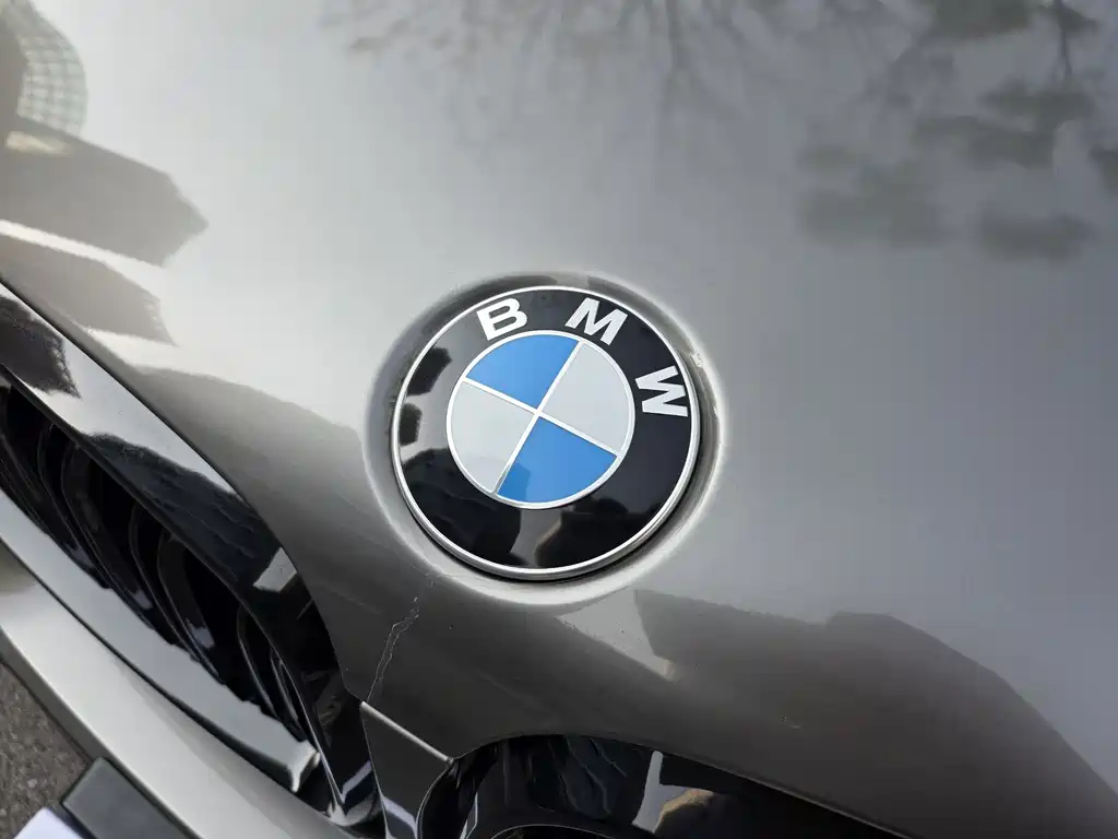 BMW X5 (Import) — миниатюра 10