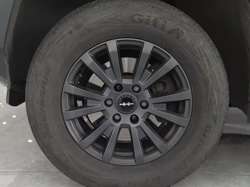 FANG CHENG BAO LEOPARD 5