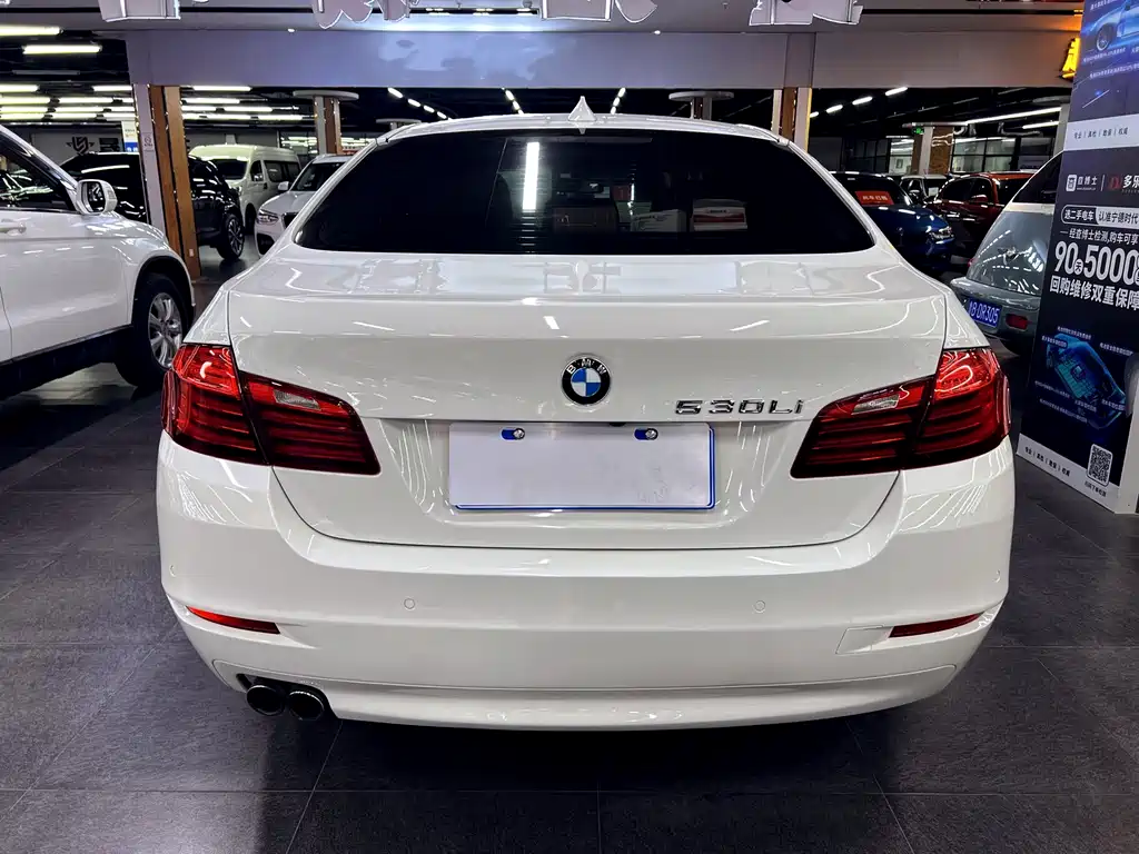 BMW 5 Series 5 2014 525Li Lead