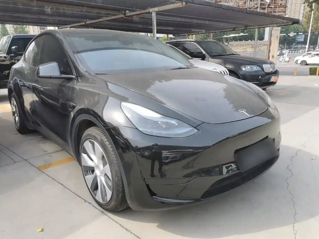 Tesla Model Y — миниатюра 4