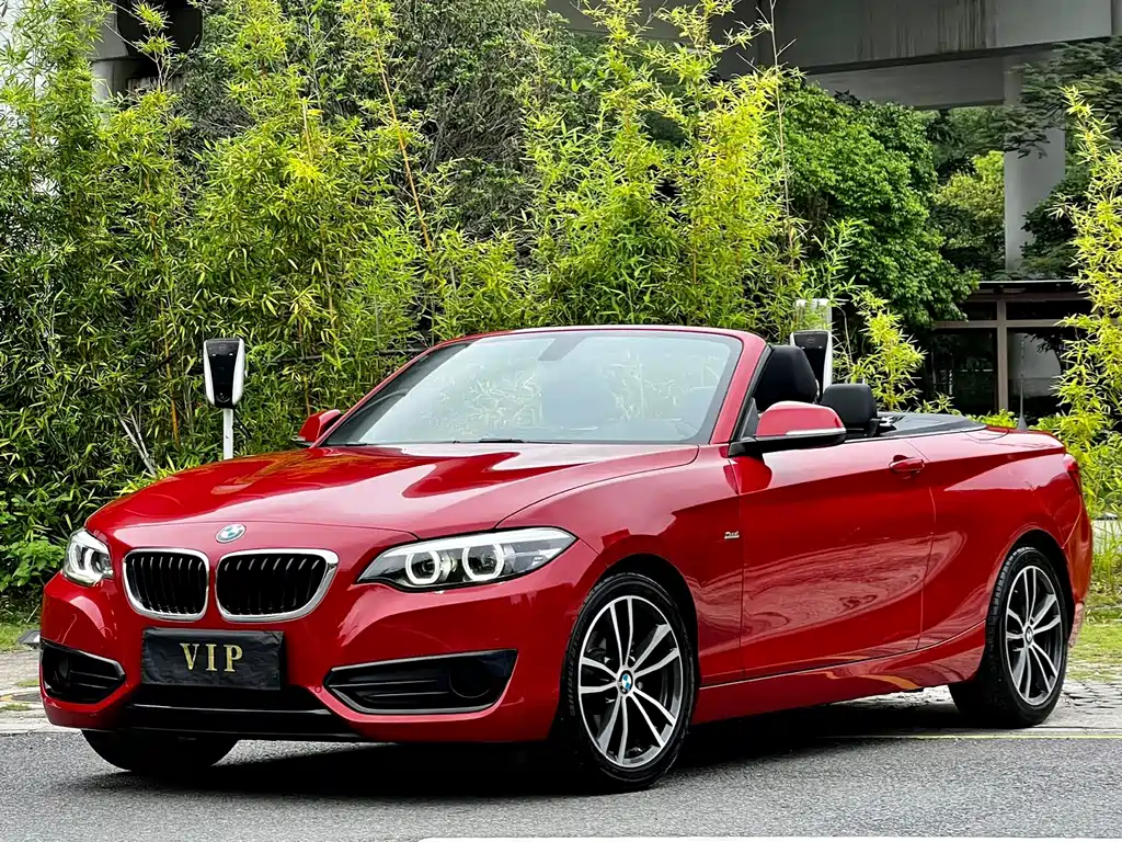 BMW 2 Series (Import) 2018