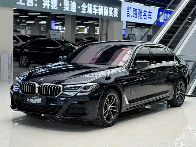 BMW 5 SERIES