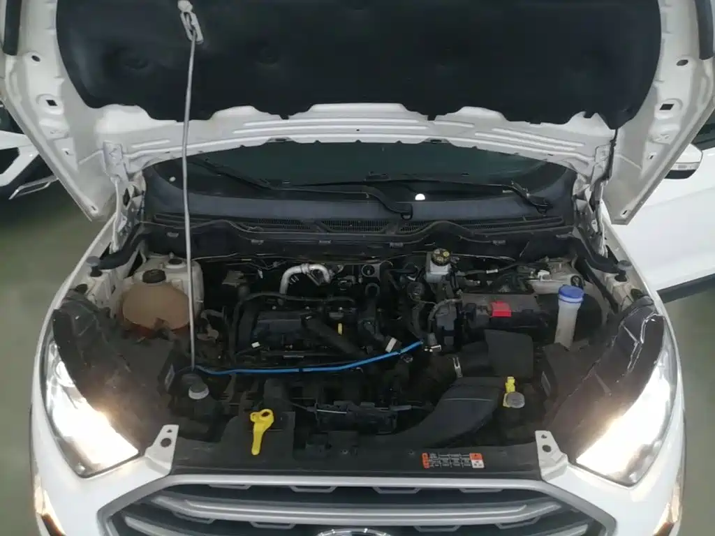 Ford Ecosport — миниатюра 20