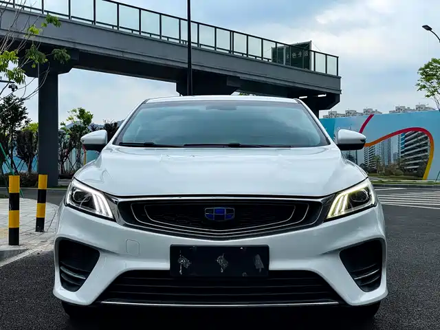 2019 Geely Binrui