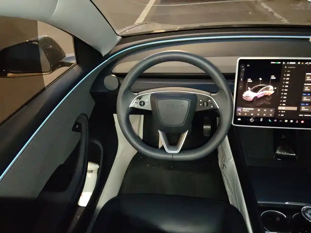 Tesla Model 3 — миниатюра 11