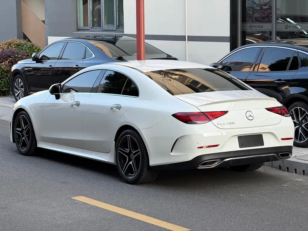 Mercedes-Benz CLS 2023 CLS 300 Luxury