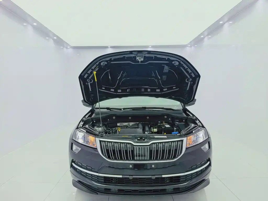 Skoda Karoq — миниатюра 9