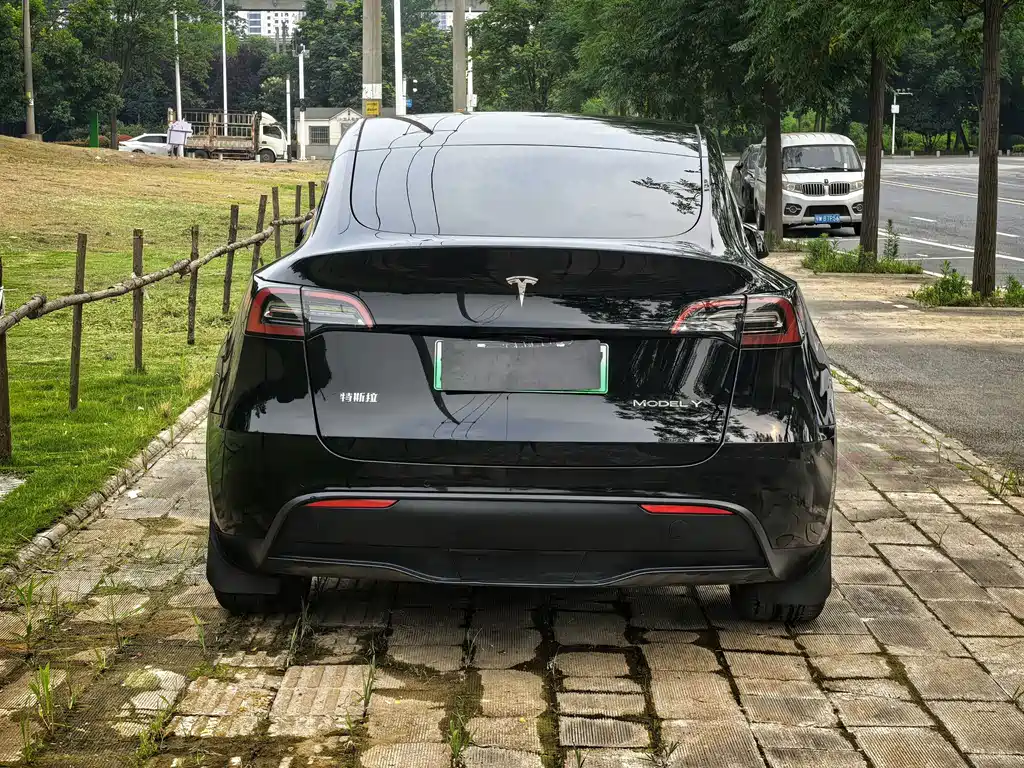 Tesla Model Y — миниатюра 2