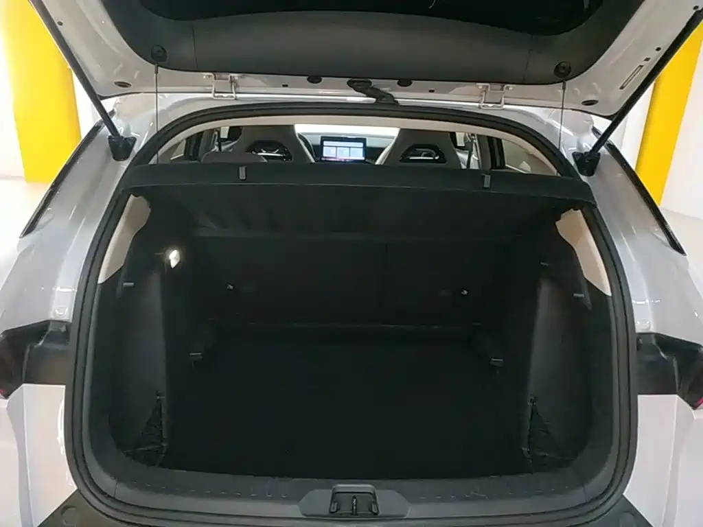 BYD Yuan Plus — миниатюра 19