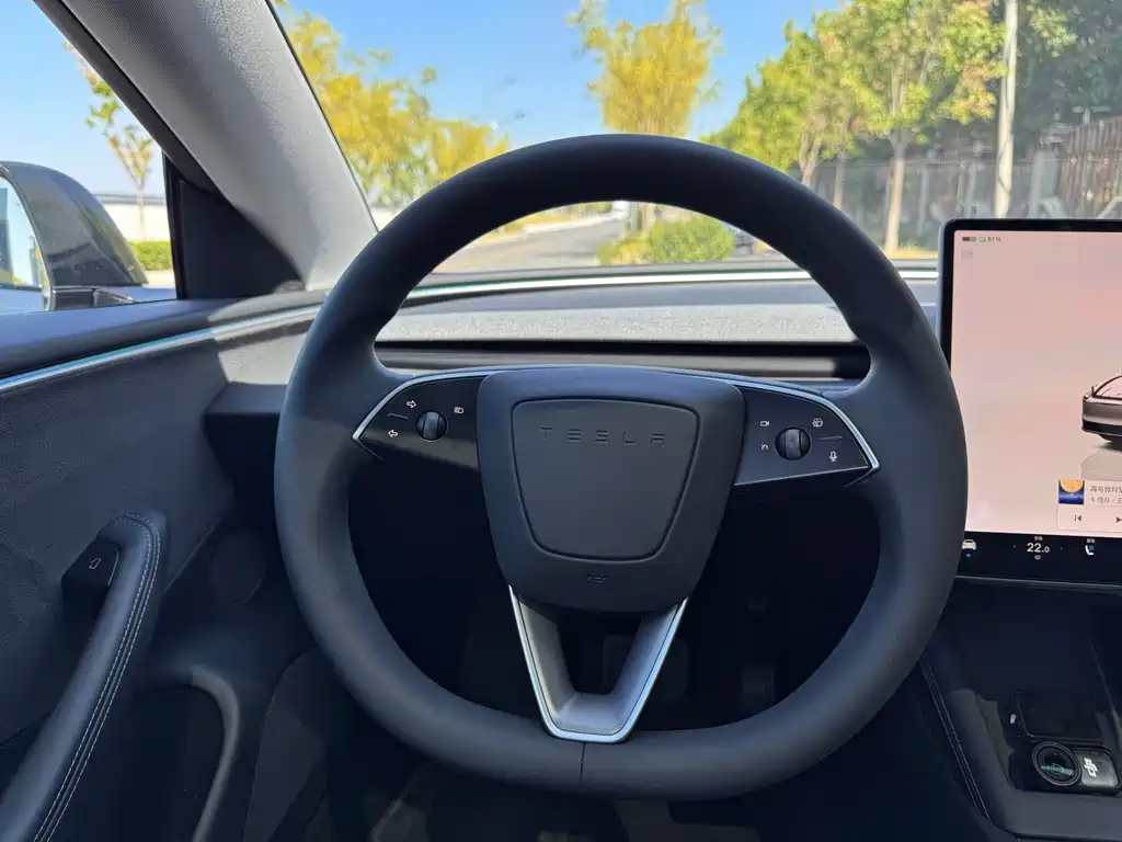 Tesla Model 3 — миниатюра 16