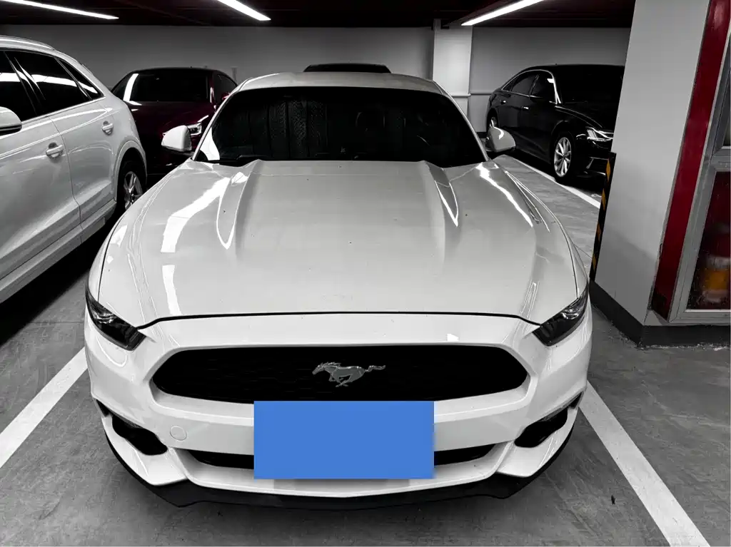 Ford Mustang — миниатюра 2