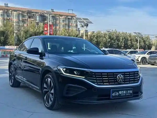 Volkswagen Passat — миниатюра 2