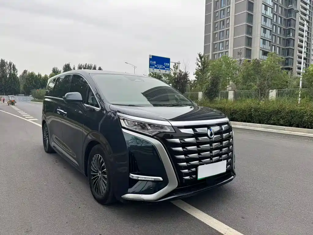 Denza Denza D9 — миниатюра 3