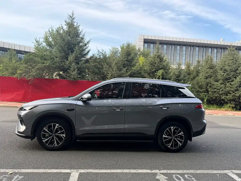 BYD Pro New Energy — миниатюра 11
