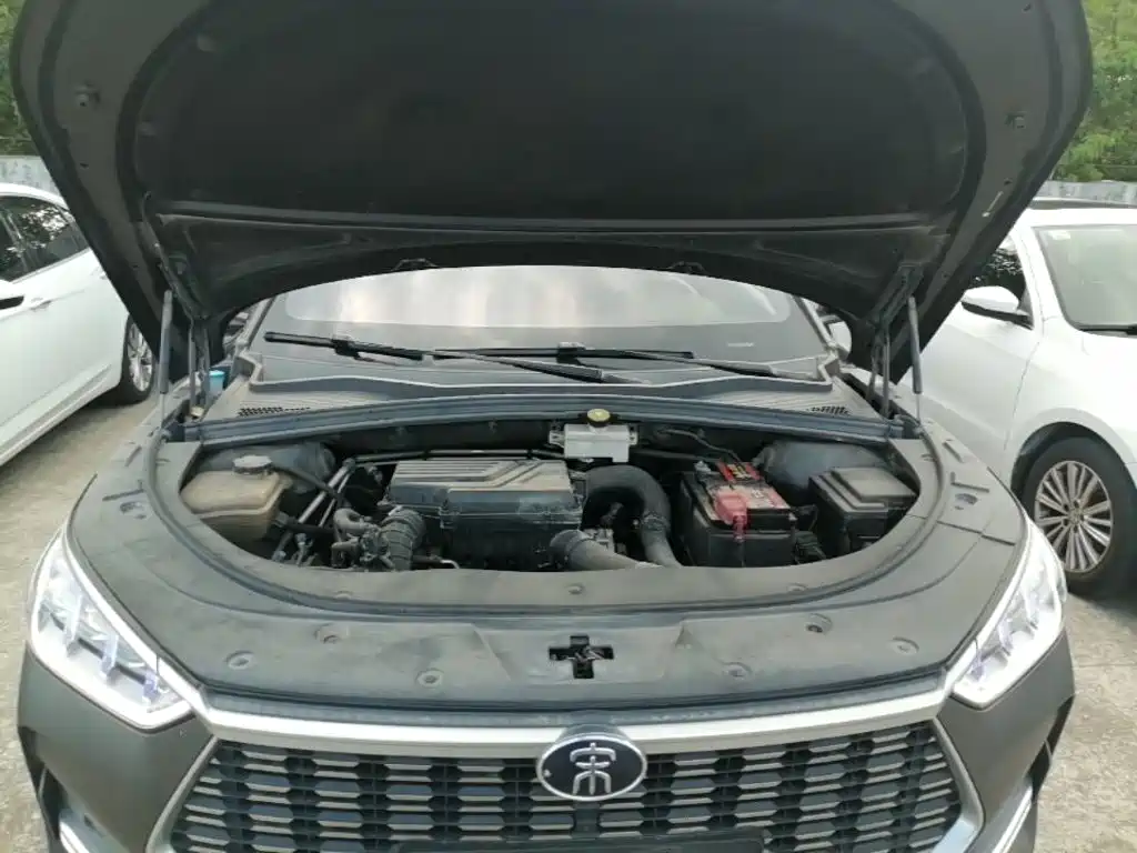 BYD PLUS — миниатюра 20