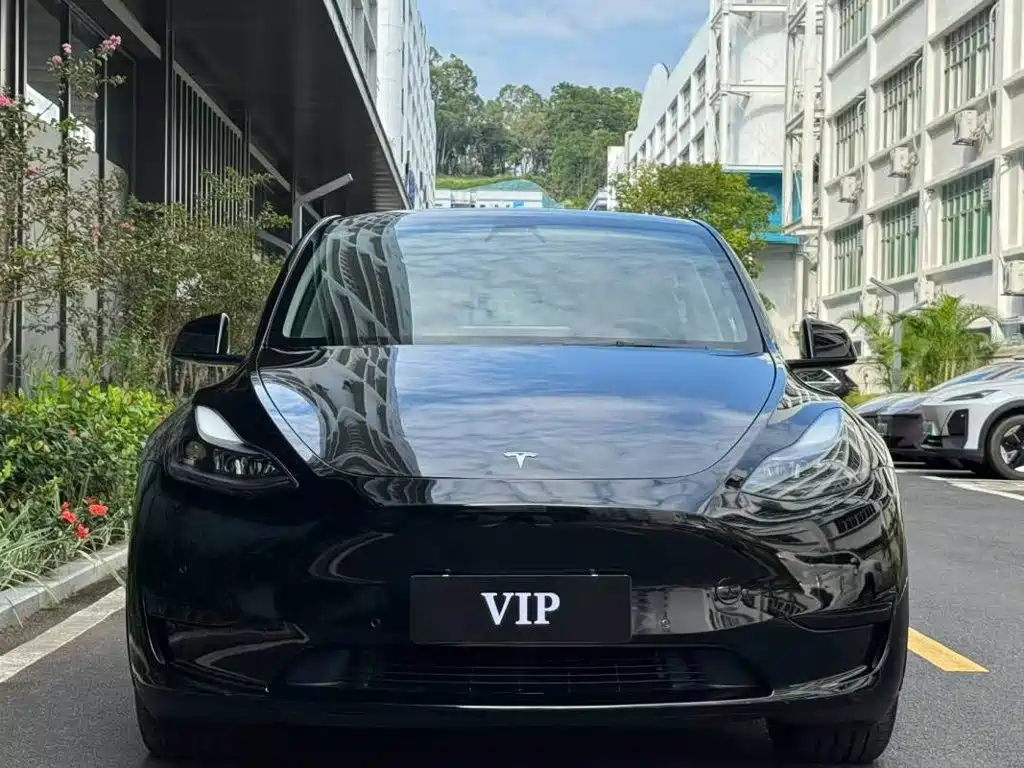 Tesla Model Y — миниатюра 2