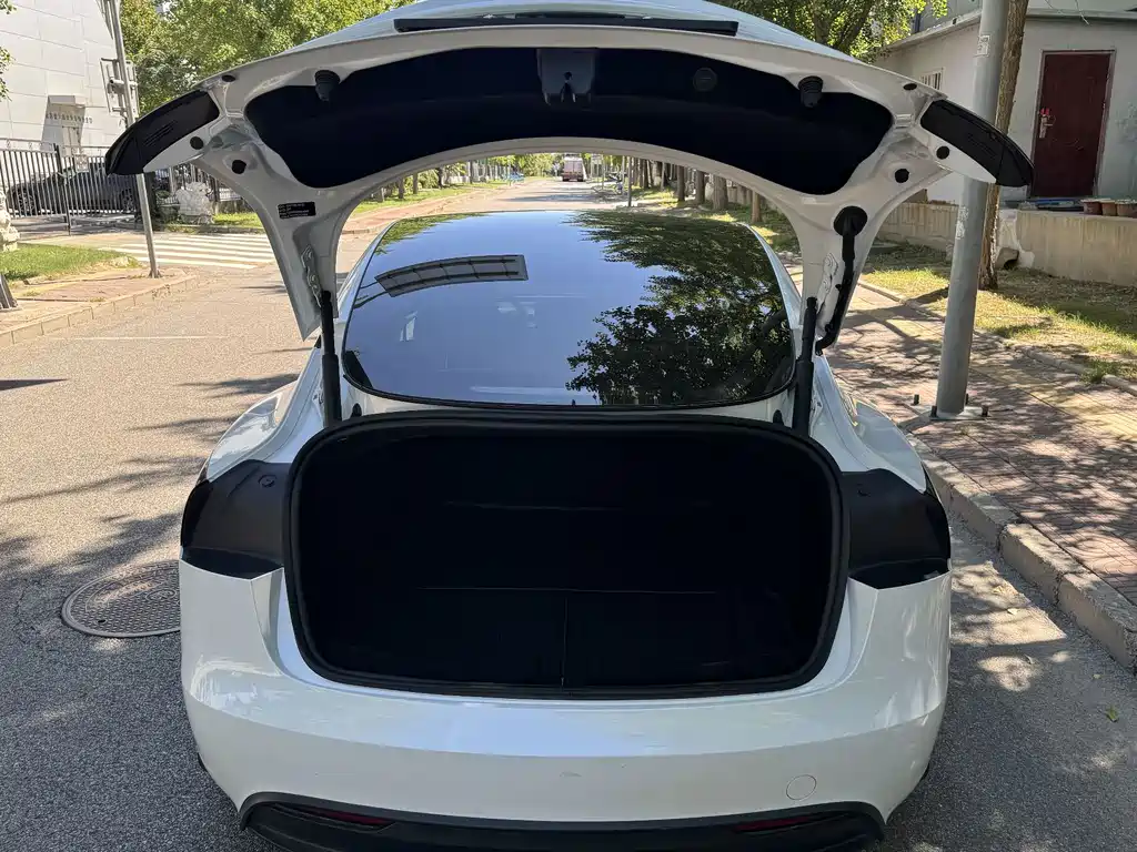 Tesla Model 3 — миниатюра 33