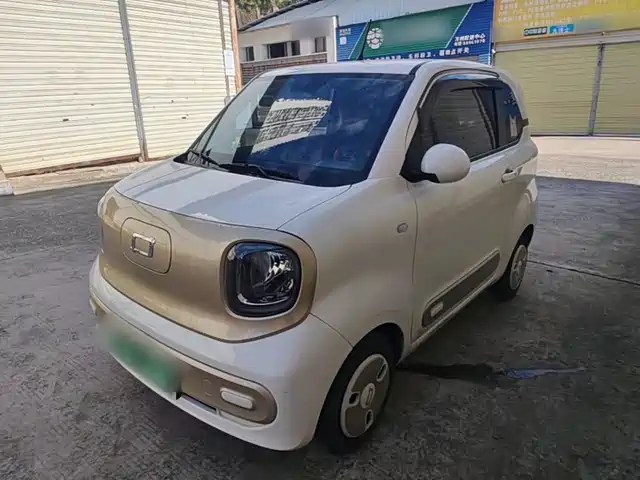 2024 Bestune Pony