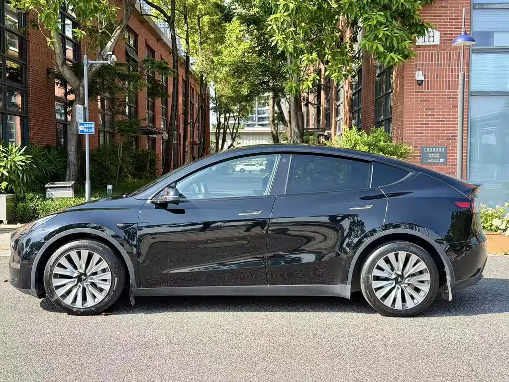 Tesla Model Y — миниатюра 2