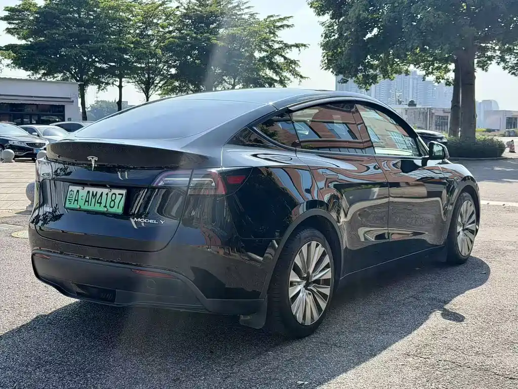 Tesla Model Y — миниатюра 5