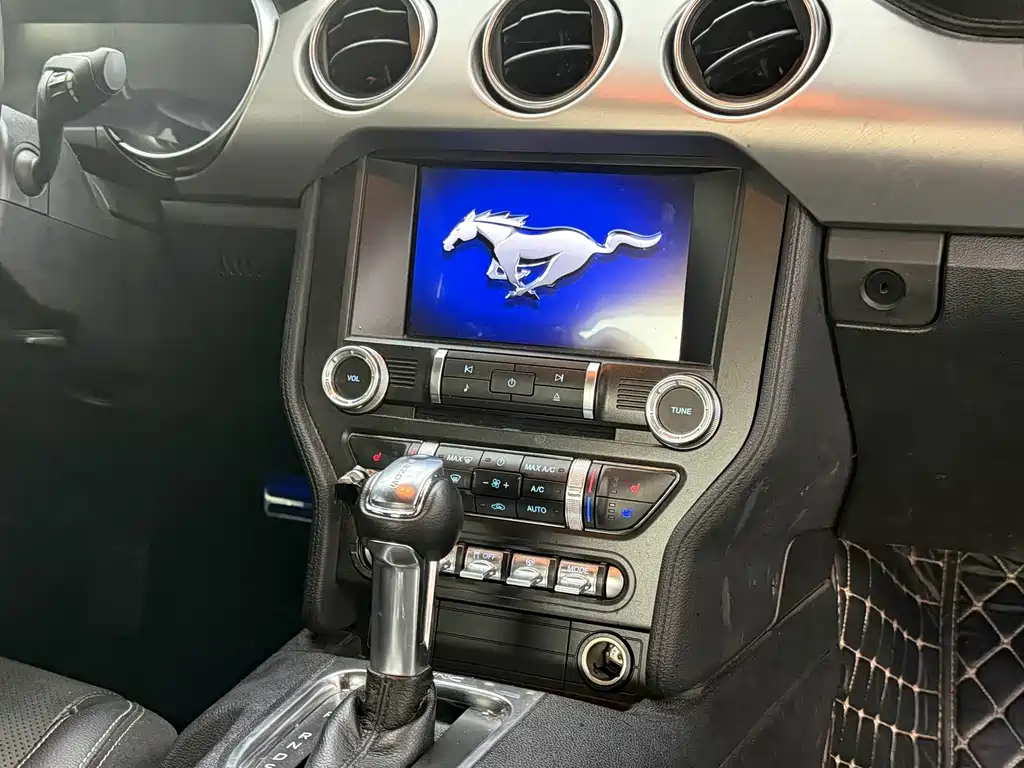 Ford Mustang — миниатюра 14