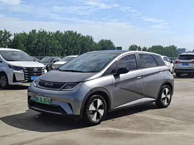 2024 BYD Dolphin