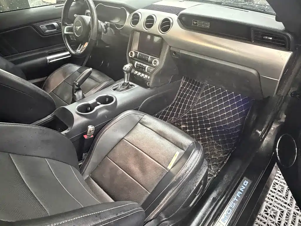 Ford Mustang — миниатюра 15