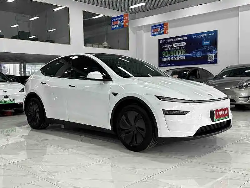 Tesla Model Y — миниатюра 3