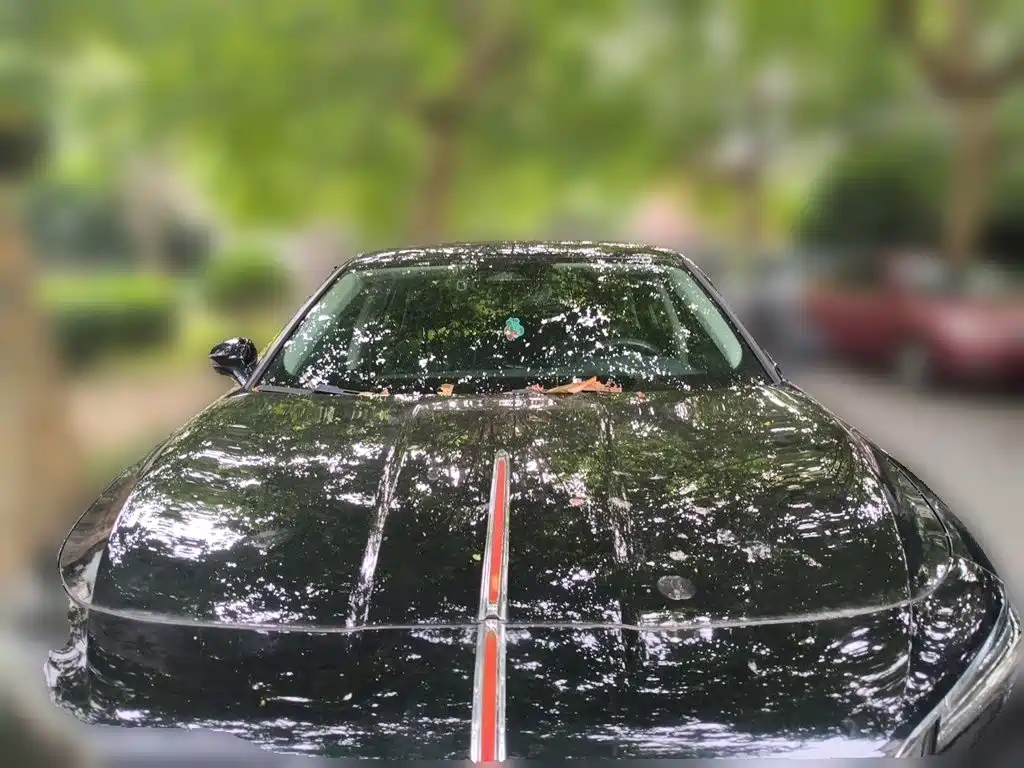 Hongqi Hongqi H5 — миниатюра 3