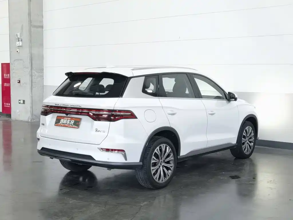 BYD Pro New Energy — миниатюра 2