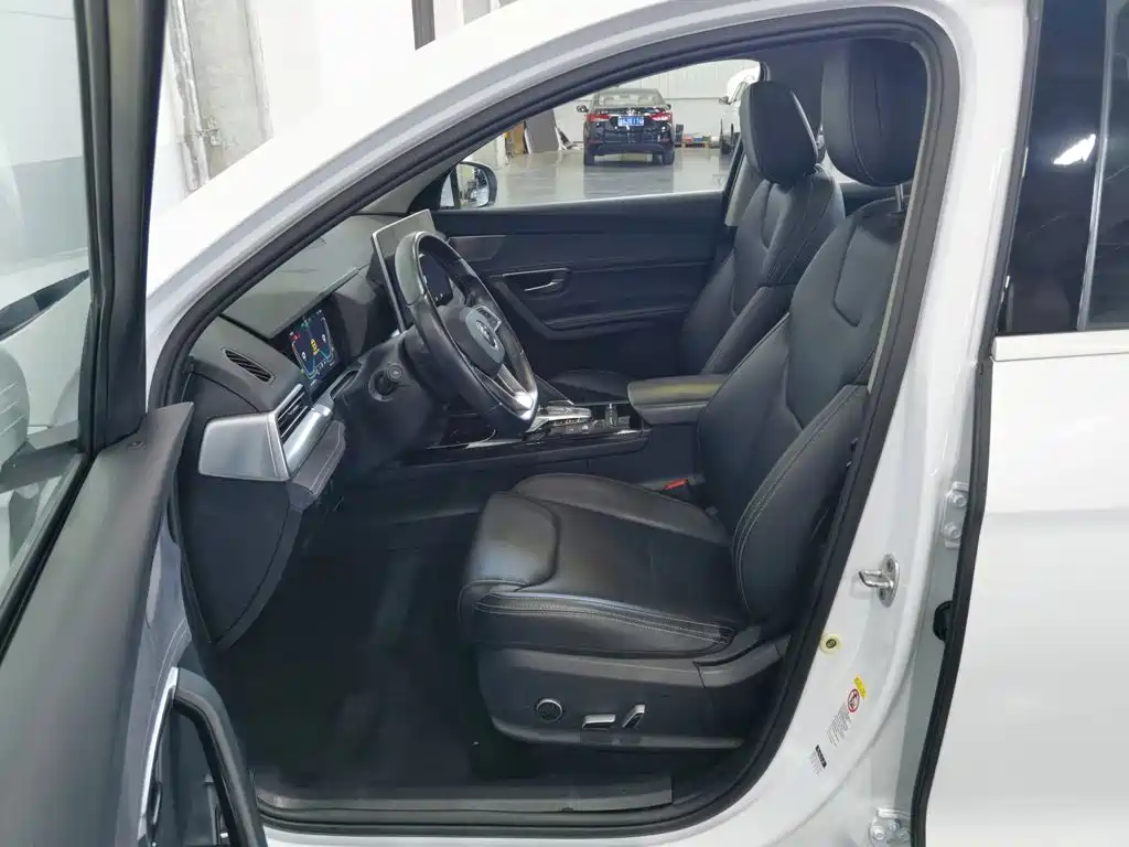 BYD Pro New Energy — миниатюра 10
