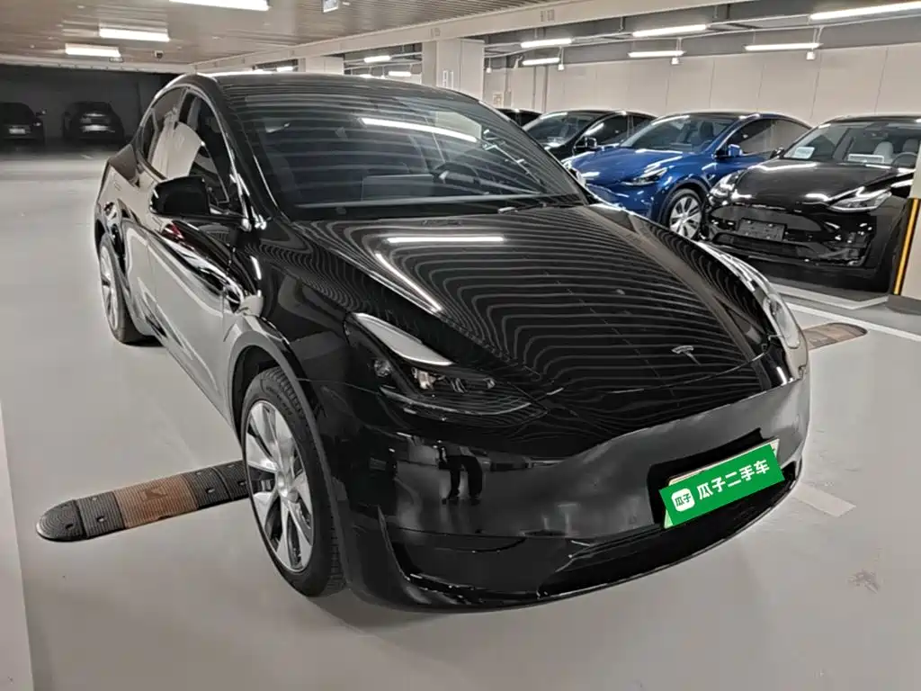 Tesla Model Y — миниатюра 4