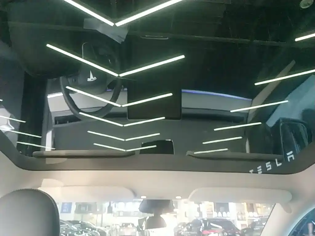 Tesla Model Y — миниатюра 18