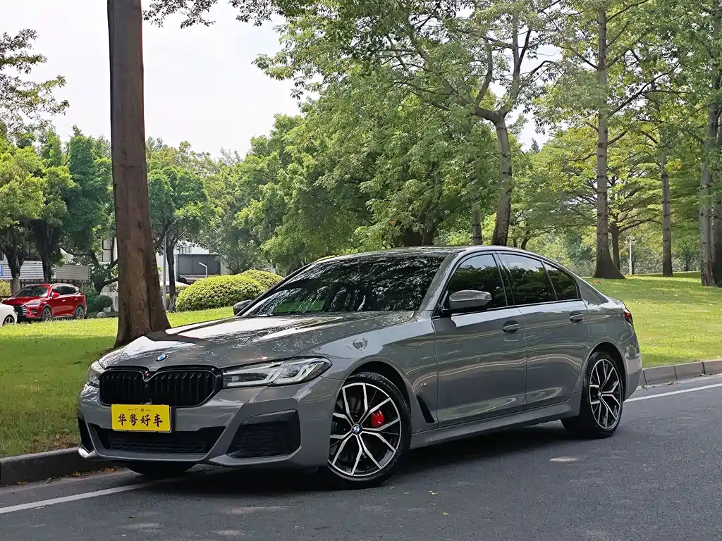 BMW 5 Series (Import)