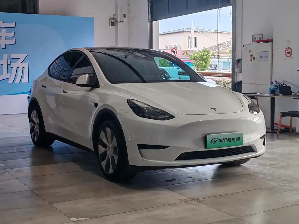 Tesla Model Y — миниатюра 3
