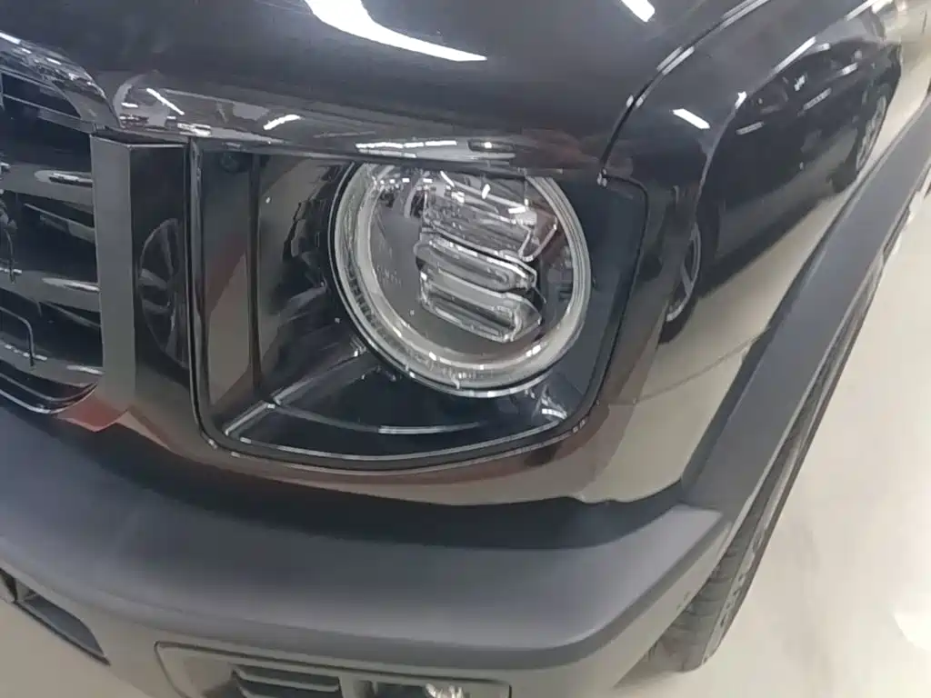 Haval Big Dog — миниатюра 24