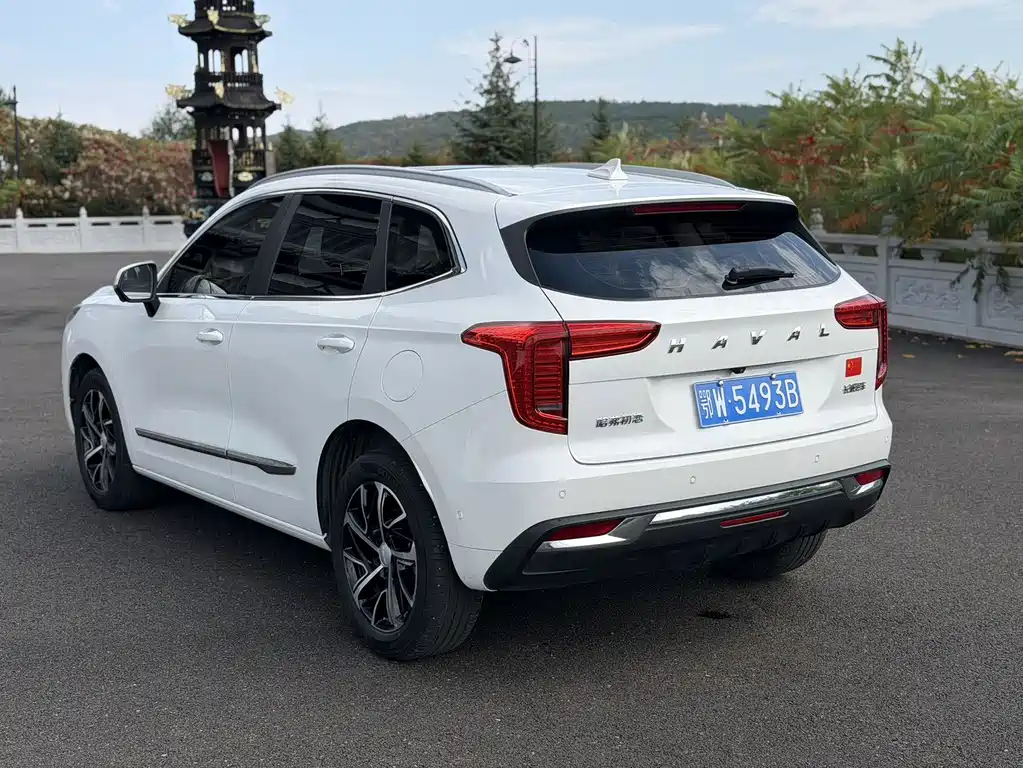 Haval Chulian — миниатюра 15