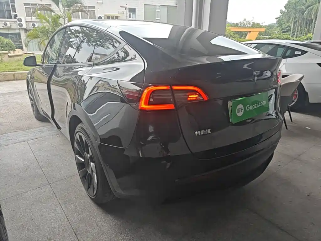 Tesla Model Y — миниатюра 5